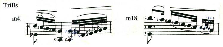 Bach Chaconne trills.